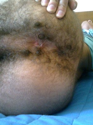 hairy ass 8.jpg