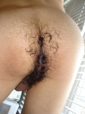 hairy ass.jpg