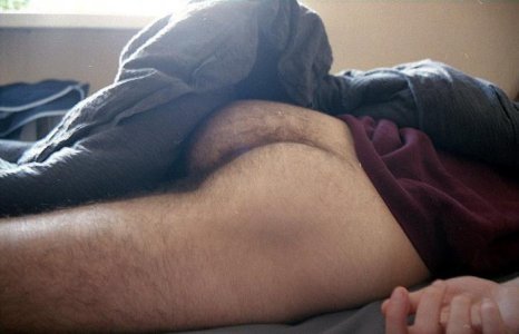 hairy ass 3.jpg