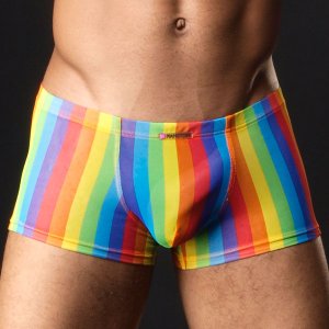 manstore-m230-pride-mini-pant-1.jpg
