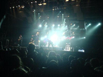 The  Hives - The hives