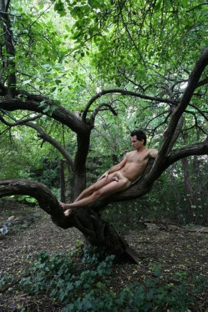 Michael V Vaccaro.jpg