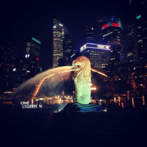 Taz Indoenesia night 4.png