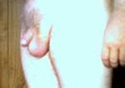 me soft side.jpg me soft side.jpg