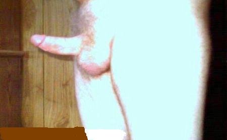 me hard side view clean.JPG