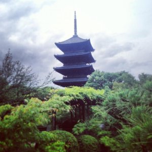 Taz Okinawa Pic 3.jpg