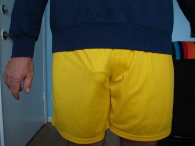 Champion Fusion Gold Mesh Shorts 009.jpg