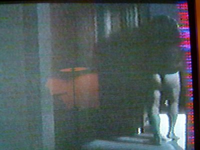 lapagaille rémygirard1.jpg