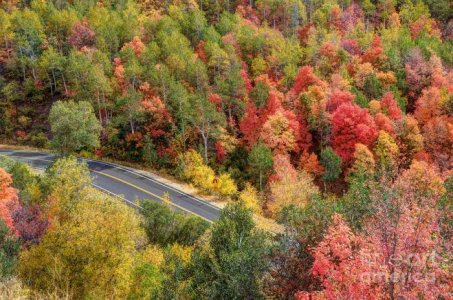 autumn-drive-through-east-canyon-utah-gary-whitton.jpg
