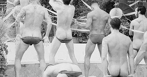 shaking it-nmsapril2013.gif