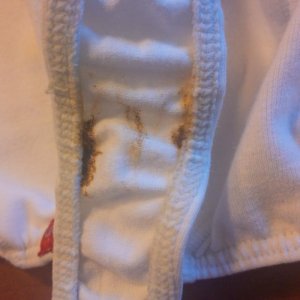 IMG_02.jpg IMG_02.jpg