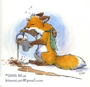 08-9-27-coffeeFox.jpg