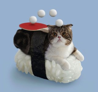 sushi-cats-7.jpg