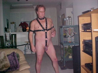 nice harness.jpg