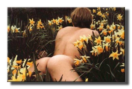 butt_0051.jpg