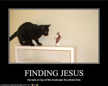 funny-pictures-your-cat-has-found-jesus.jpg funny-pictures-your-cat-has-found-jesus.jpg