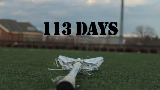 113-Days-Logo.jpg