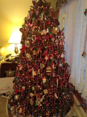 Christmas Tree 1 2013.jpg