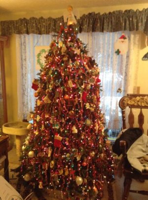 Christmas Tree 3 2013.jpg