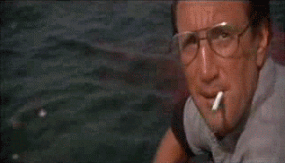 Sam_Jackson_Shark_40328592d408eae4c1ef_1_zps460a5b3b.gif Sam_Jackson_Shark_40328592d408eae4c1ef_1_zps460a5b3b.gif