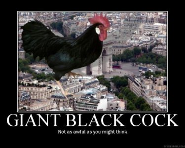 GiantBlackCock1.jpg