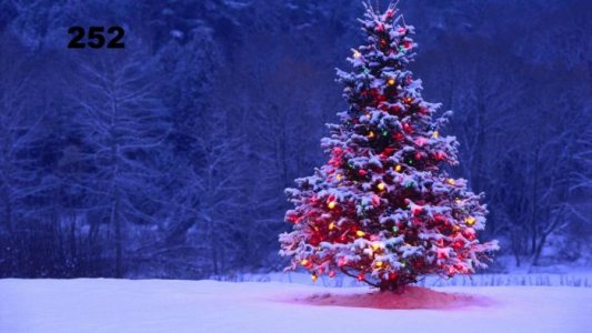 Free-Wallpaper-Christmas-Tree.jpg