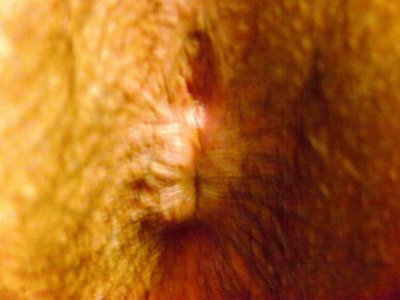 IMAG0002.jpg IMAG0002.jpg