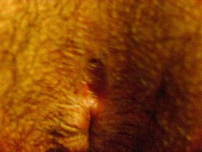 IMAG0004.jpg IMAG0004.jpg