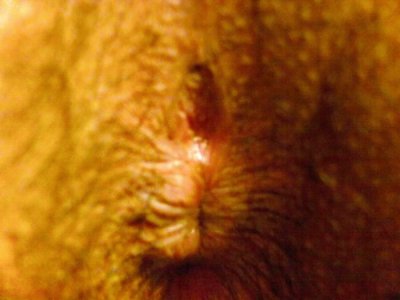 IMAG0003.jpg IMAG0003.jpg