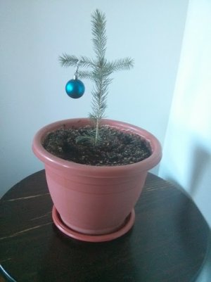 charlie brown.jpg charlie brown.jpg