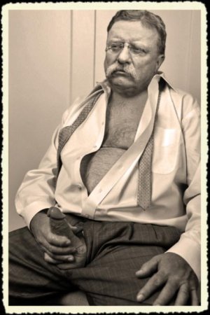 tddrsvltsp1.jpg tddrsvltsp1.jpg