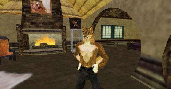 Furry Kit_001.jpg Furry Kit_001.jpg