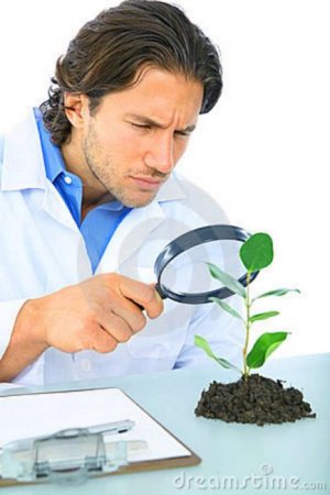 serious-scientist-examine-green-life-8587746.jpg