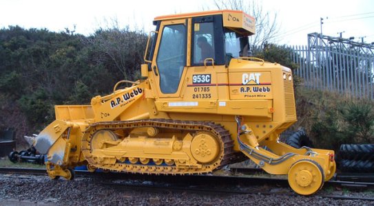 cat953.jpg