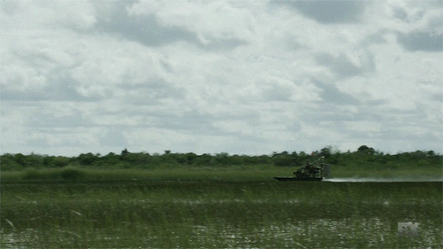 airboat.gif
