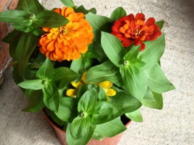 Mac Anderson park 023.jpg