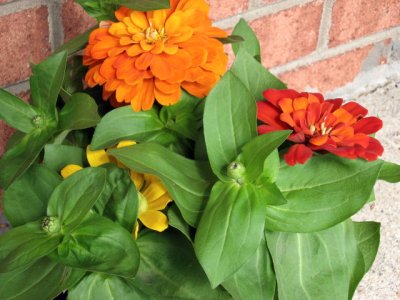 Mac Anderson park 025.jpg