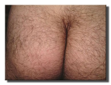 butt_hair_0006.jpg