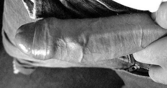 big cock (228)bw.jpg