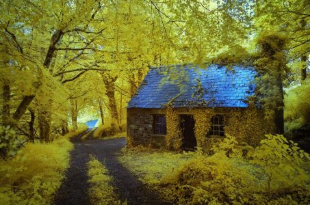 old-derelict-cottage-near-stradbally-ireland-ir-photo-by-owen-ogrady.jpg
