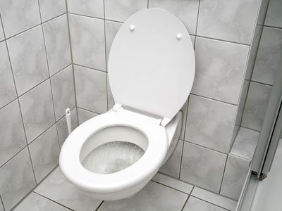 low-flow-toilet-4.jpg