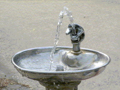 drinking fountain.gif