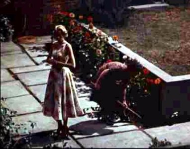 kelly-ritter-rear-window.jpg kelly-ritter-rear-window.jpg