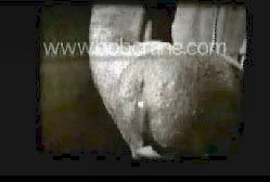 BobCrane2.jpg BobCrane2.jpg