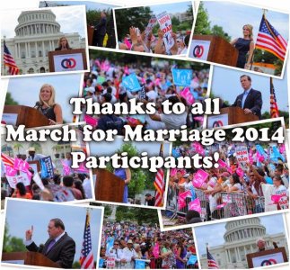 BBcrop2.jpg BBcrop2.jpg