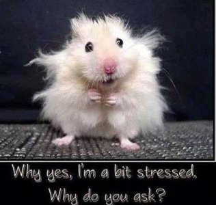 10389679_10152464375564104_8709988312485075065_n.jpg 10389679_10152464375564104_8709988312485075065_n.jpg