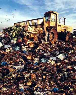 landfill_001.jpg