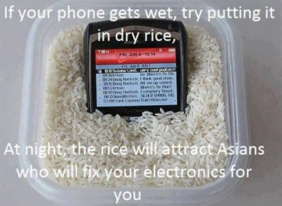 CellPhone Rice.jpg