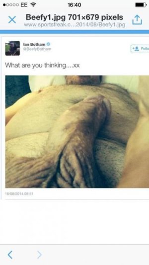 Ian Botham dick tweet.jpg Ian Botham dick tweet.jpg