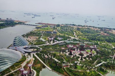 Gardens_by_the_Bay_South_viewed_from_Sands_Sky_Park,_Marina_Bay_Sands_Hotel,_Singapore.jpg